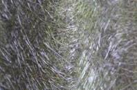 Hampton Gay fibreglass roof work